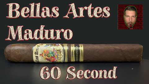 60 SECOND CIGAR REVIEW - Bellas Artes Maduro - Should I Smoke This