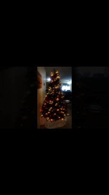 Two Tone Christmas Tree #Shorts