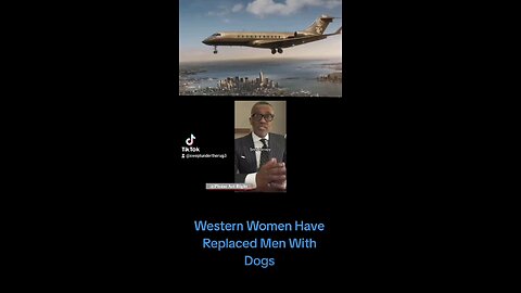 Western Women Have Replaced Men With Dogs