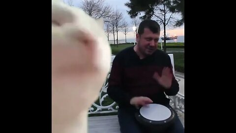 my brain when I trying to sleep 😂🤣😂