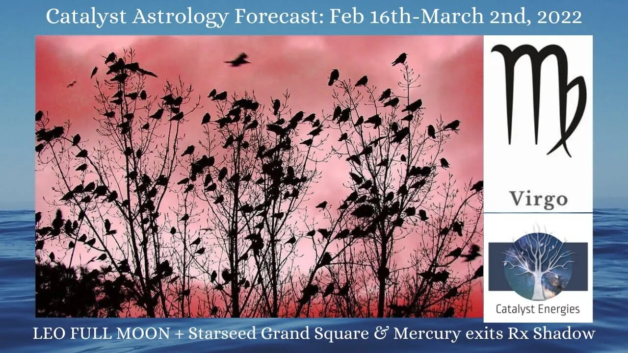 VIRGO - Catalyst Astrology Forecast - LEO FULL MOON + STARSEED GRAND SQUARE - Feb 16-March 2nd, 2022