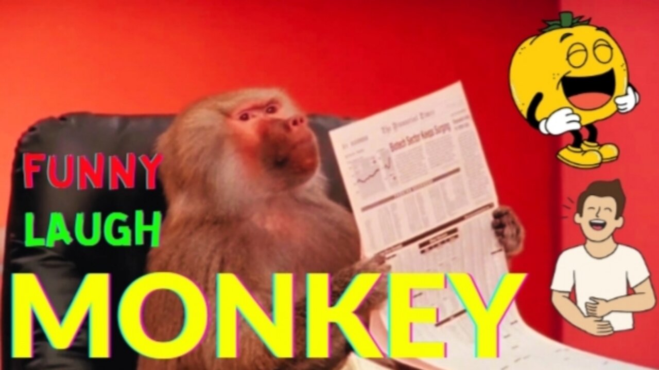 Funnies Monkey - Funny Animal best video