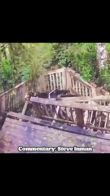 When you order a contractor off wish.com