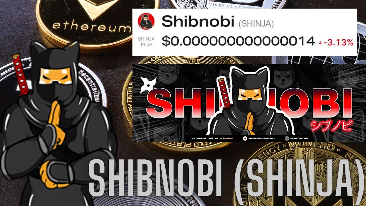 Shibnobi (SHINJA) current value $0.000000000000014