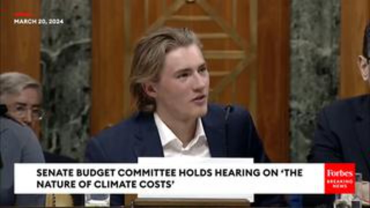 A witness testifying in favor of the government investing billions to fight climate change