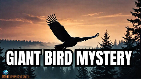 Giant Bird of Missouri: Cryptid Encounters! #EnigmaCast Highlights