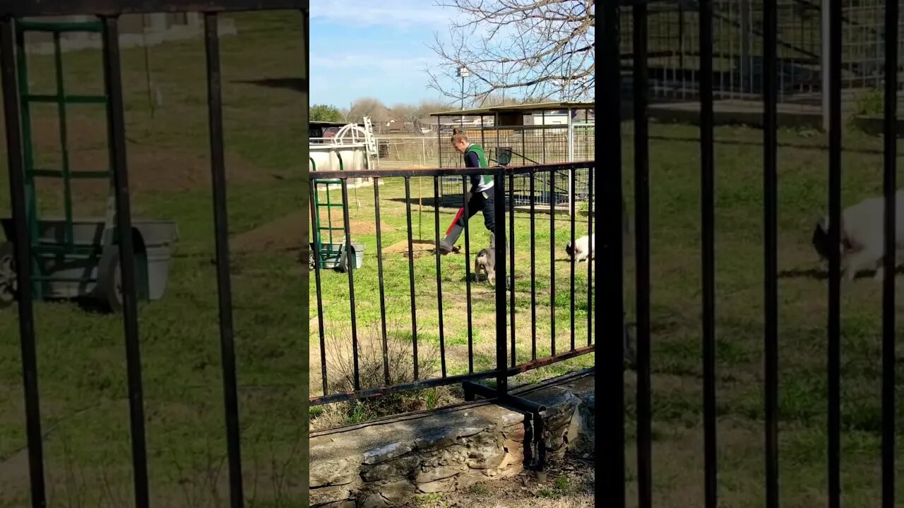 Jenny’s a MACHINE! ❤️😀 #shorts #trending #viral #tiktok