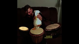 🪘 Drummer 🪘
