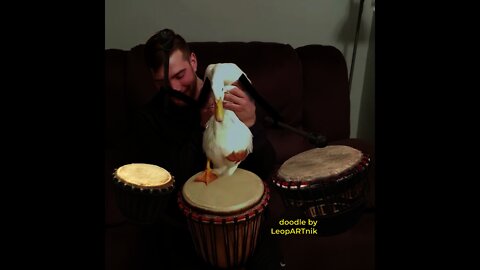 🪘 Drummer 🪘