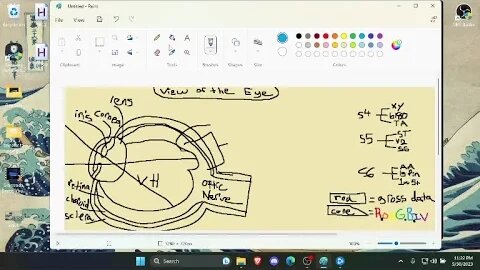 Session 4: Metagame (Paint, Typing, Aim Training) - Part 9 -
