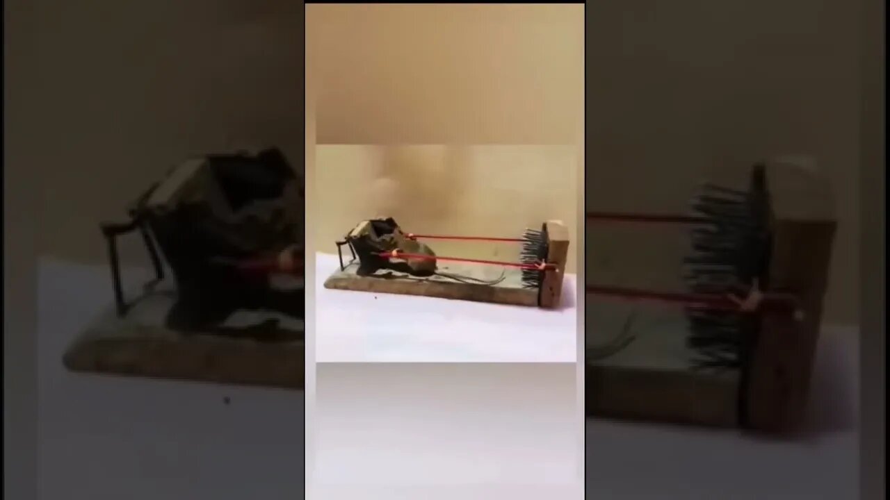 Mouse trap loop