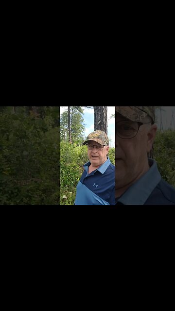 Results of Rotational Burning for Deer and Grouse Habitat