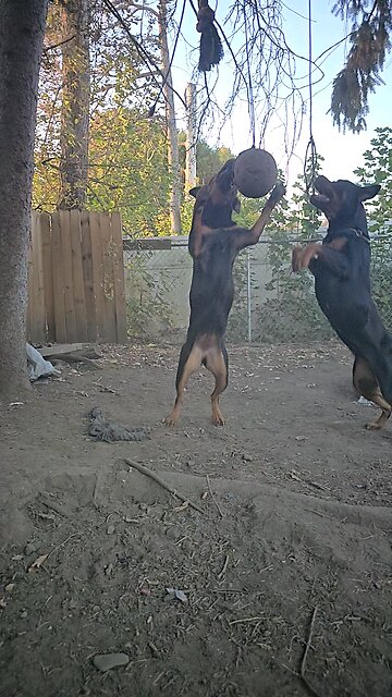 Just A fun day With the Girls