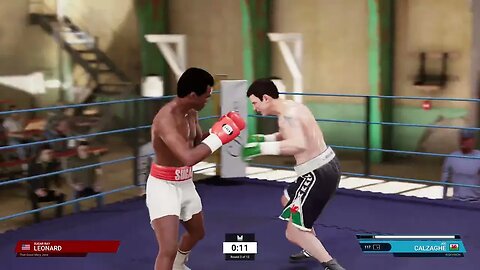 Undisputed Boxing Online Unranked Gameplay Joe Calzaghe vs Sugar Ray Leonard (New fighter)