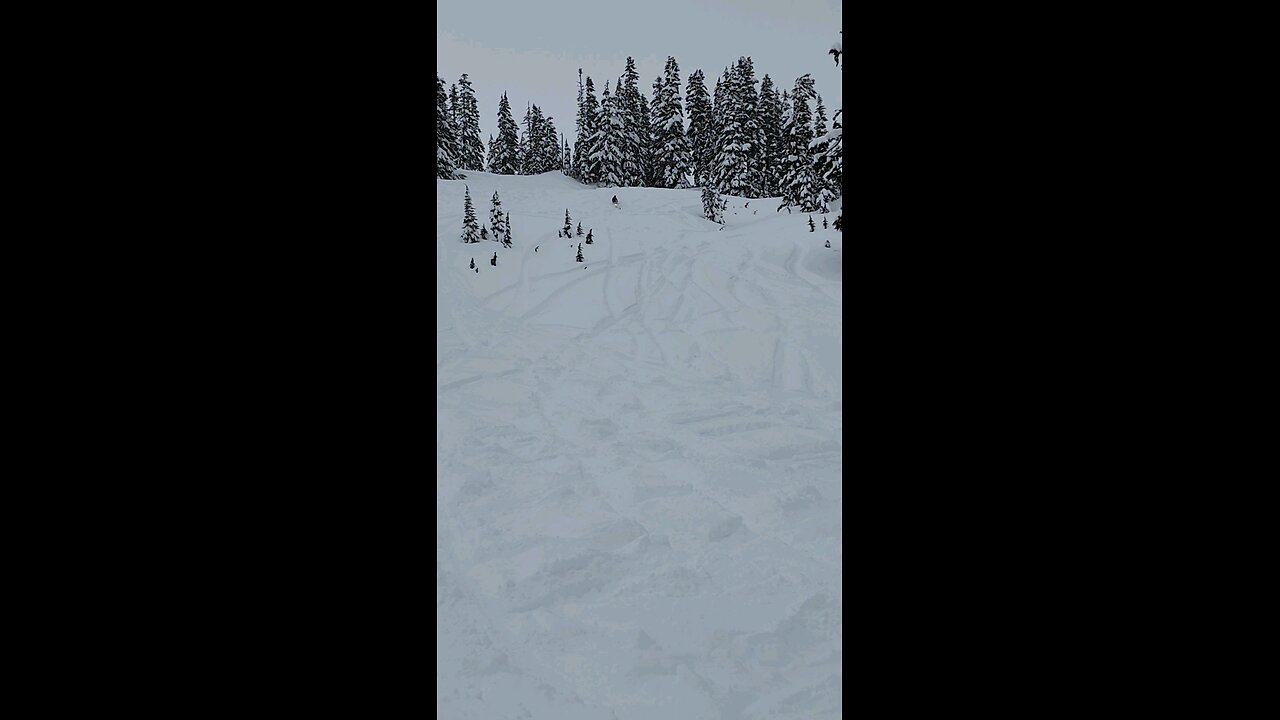 Mt. Baker Snowmobiling