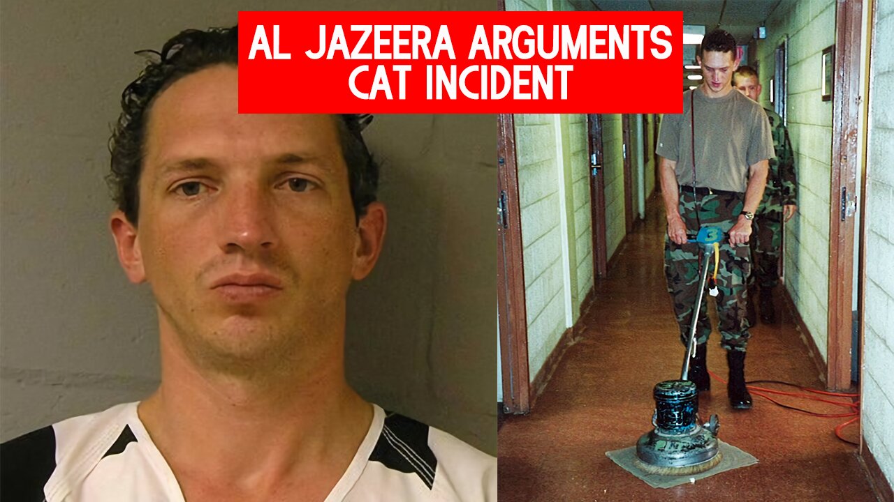 Al Jazeera Arguments / Cat Incident