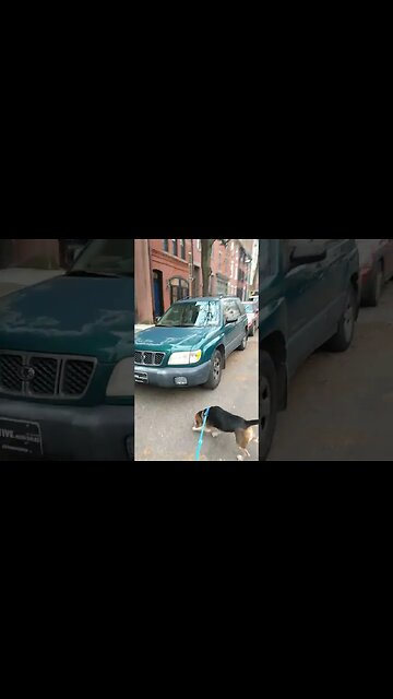 BAM! $5 million dollars legally owed to me myself and I! stalk parking