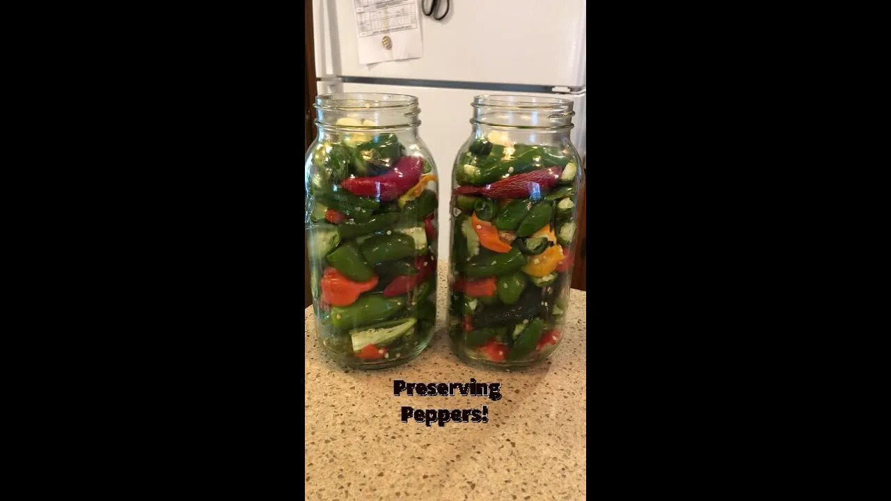 Fermenting Hot Peppers | Hot Sauce | Crushed peppers #shorts