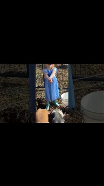 Disney Princess Feeds Her Cute Piglets
