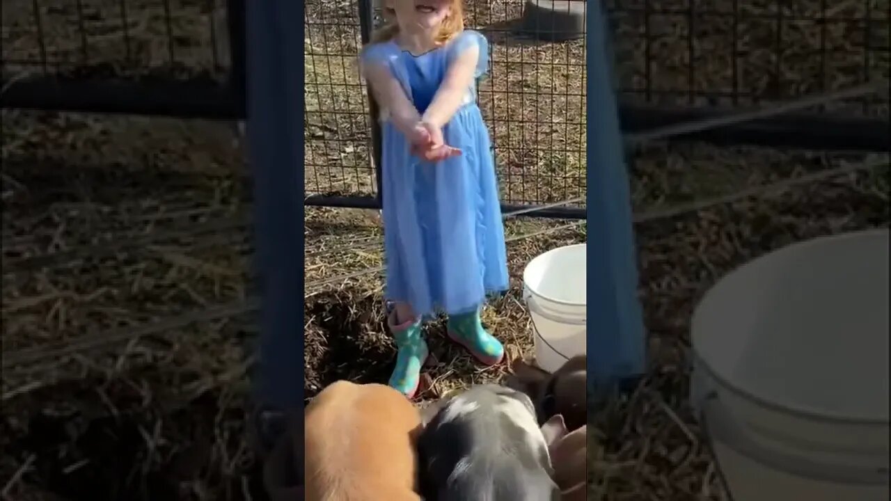 Disney Princess Feeds Her Cute Piglets