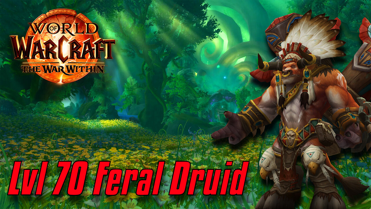 Warcraft: The War Within | Lvl 70 Feral Druid