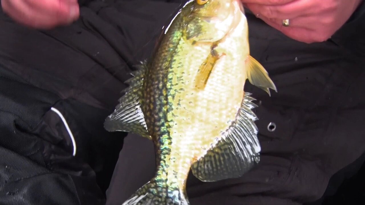 MidWest Outdoors TV Show #1606 - Crappie thru the ice with Tony Roach