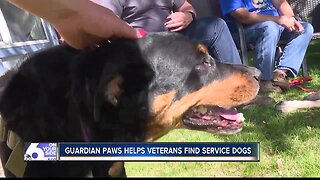 Guardian Paws places service dogs with Veterans who live with PTSD