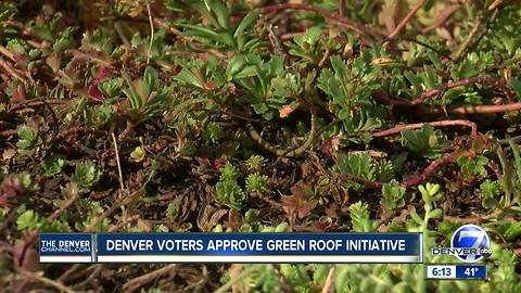 Denver votes to require environment-friendly ‘green’ roofs