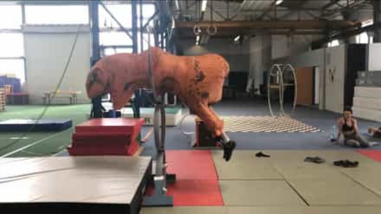 Já alguma vez viu um dinossauro t-rex dedicado ao circo?