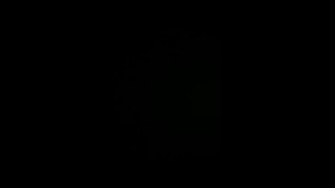 How to pronounce trumps campaign