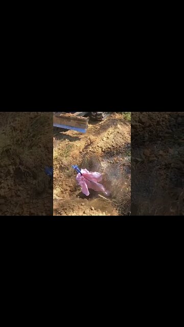 #shortsvideo BOOM camera angle! Bobcat e42 R2 series action!