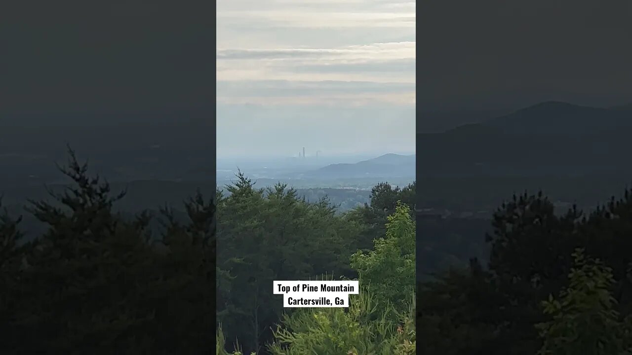 Many birds at the Top of Pine Mountain. Cartersville, Ga. #birds #mountains #summit #hikes #hiking