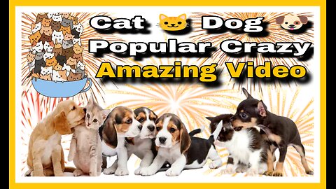 Entertainment Animal Video|| Cat -Dog Video|Crazy Video||Funny Reaction