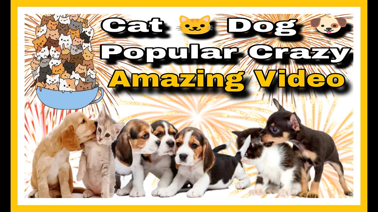 Entertainment Animal Video|| Cat -Dog Video|Crazy Video||Funny Reaction