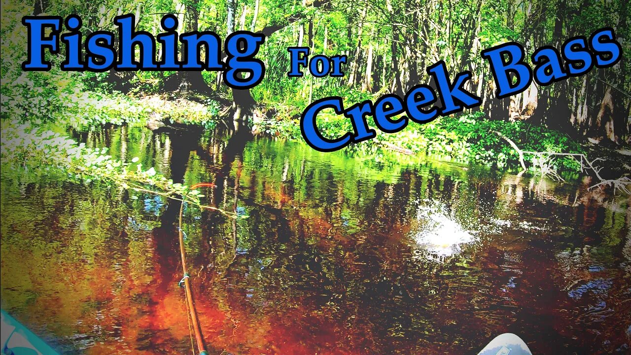 Bass Fishing in Blackwater Creek