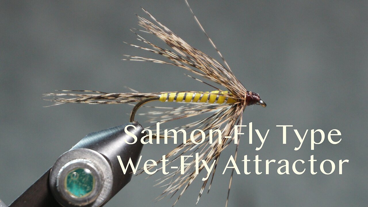 Salmon-Fly Type - Wet-Fly Attractor (Fling & Puterbaugh 24/30)