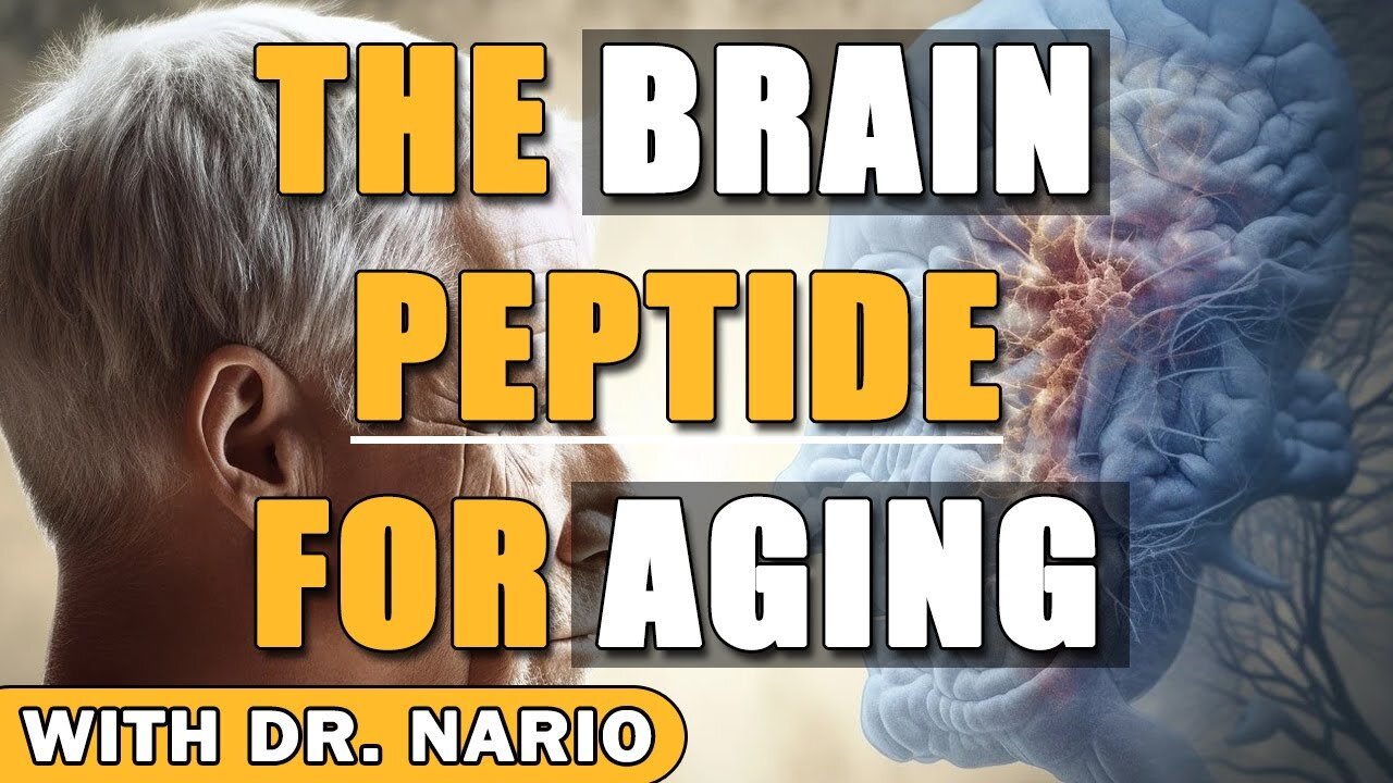 The Brain Peptide For Aging