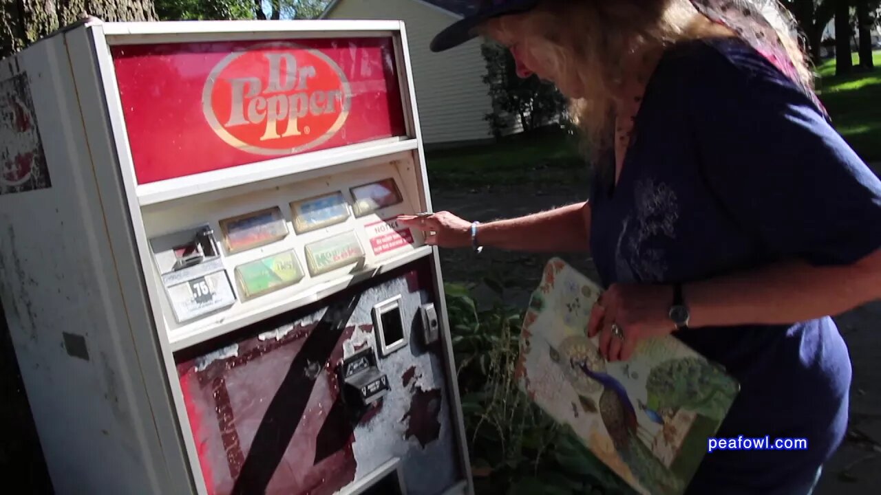 Pop machine chained to tree, Elkhart, Ia. Travel USA, Mr. Peacock & Friends, Hidden Treasures