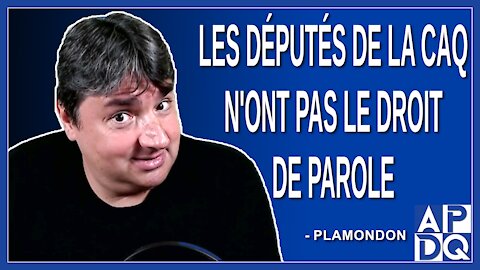 Les députés de la CAQ n'ont pas le droit de parole. Dit Plamondon