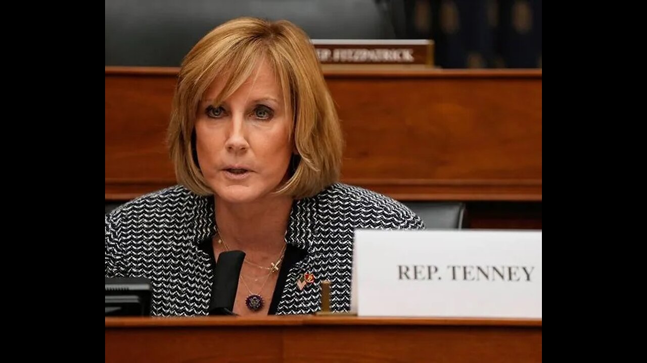 Rep. Tenney to Newsmax: 'Naive' Dems Want 'Idealized World' With Guns