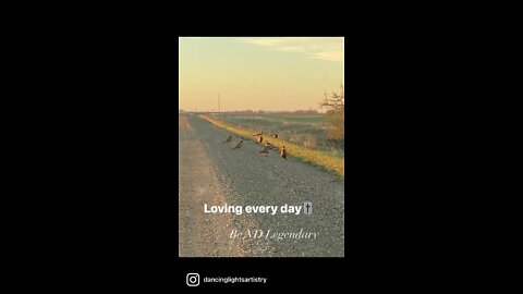 Loving every day🎚