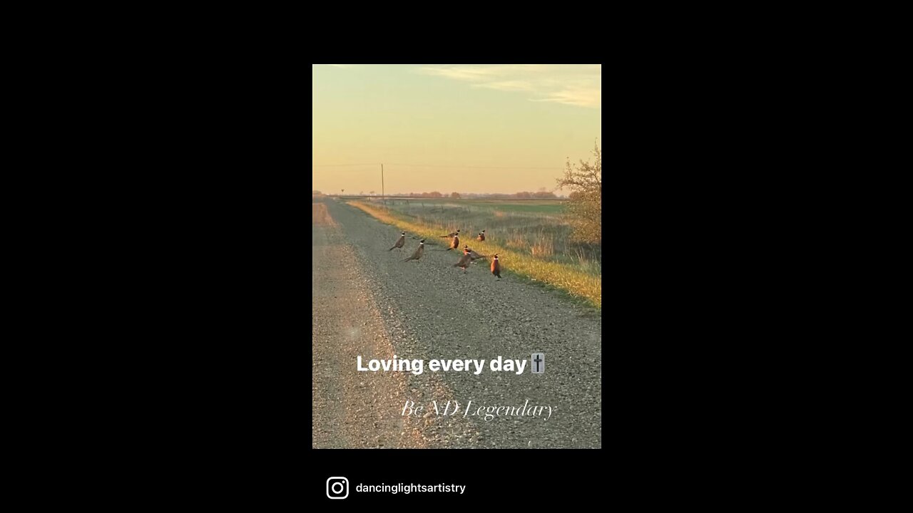 Loving every day🎚