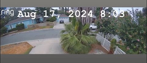 August 17, 2024 8:03 White car