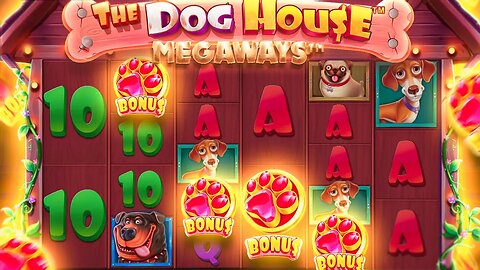 $8,000 SESSION ON DOG HOUSE MEGAWAYS!