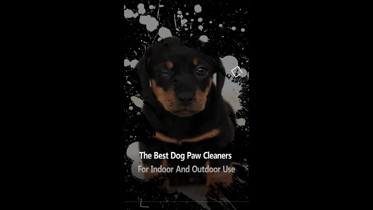 The Best Dog Paw Cleaners For Indoor And Outdoor Use