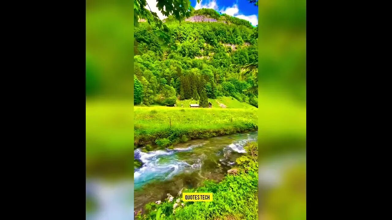Beautiful Nature #nature #photography #shorts