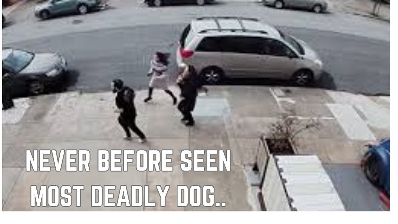 THE MOST DEADLIEST DOG FIGHT..