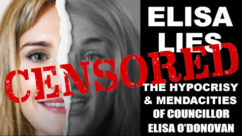 Elisa Lies, Youtube Complies: Response to false defamation claim