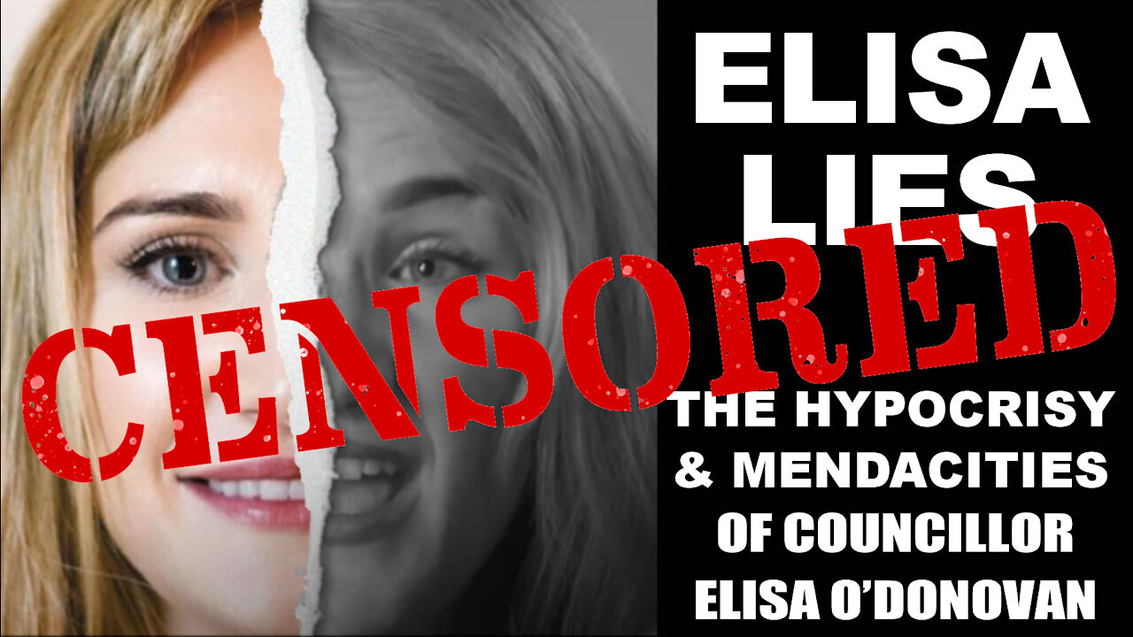 Elisa Lies, Youtube Complies: Response to false defamation claim