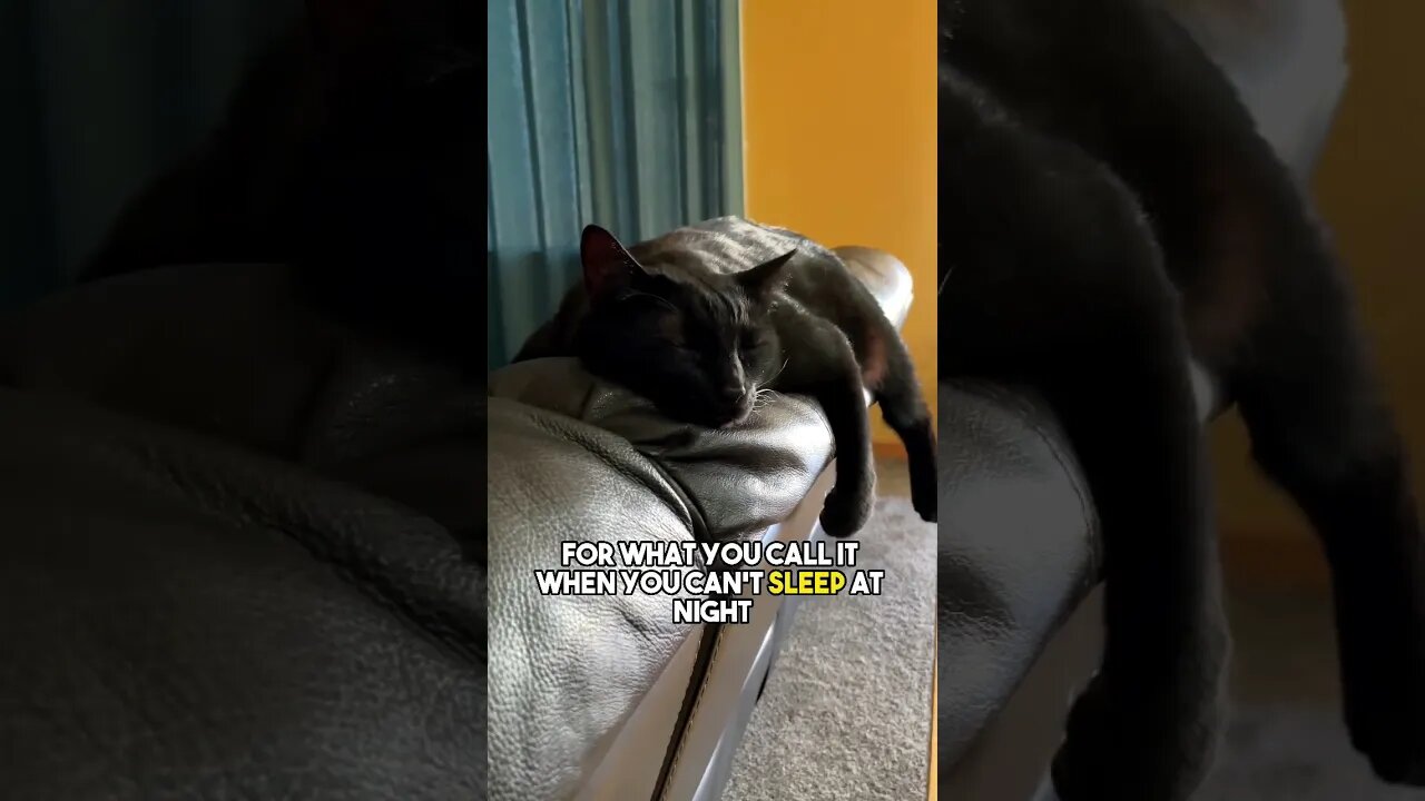 Send to that one friend😆 #cat #blackcat #leonthecatdad #sleep #insomnia #relationship #relatable
